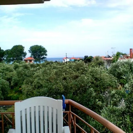 Stella سكالا بوتامياس